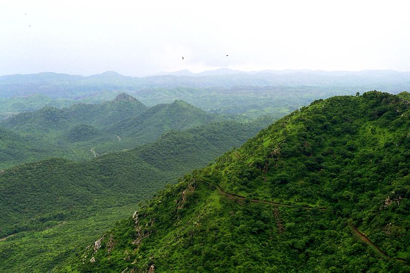 ملف:Aravalli.jpg