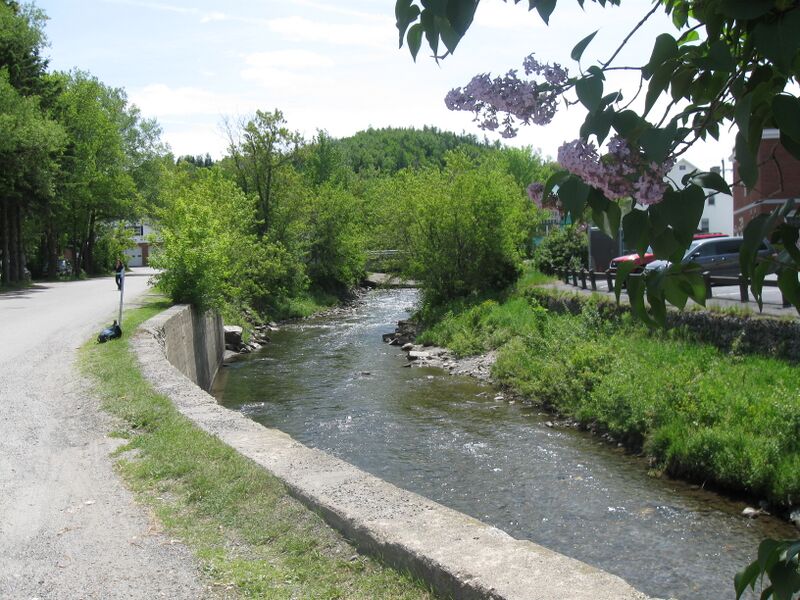 ملف:Mohawk Colebrook.jpg