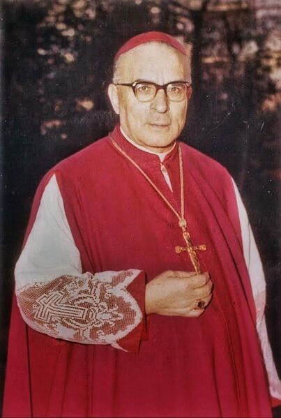 ملف:Monsignor Giuseppe Almici.jpg
