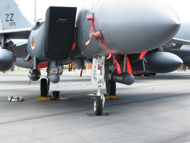 ملف:SAS 2010 F-15E LANTIRN.JPG