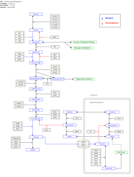 ملف:WP534.png