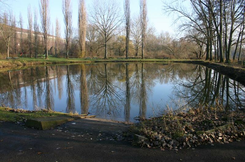 ملف:Weiher.jpg