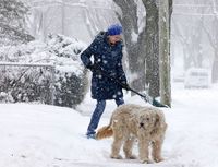 سيدة تزيح الثلوج من أمام منزلها في ماديسون، وسكنسن، 30 يناير 2019.