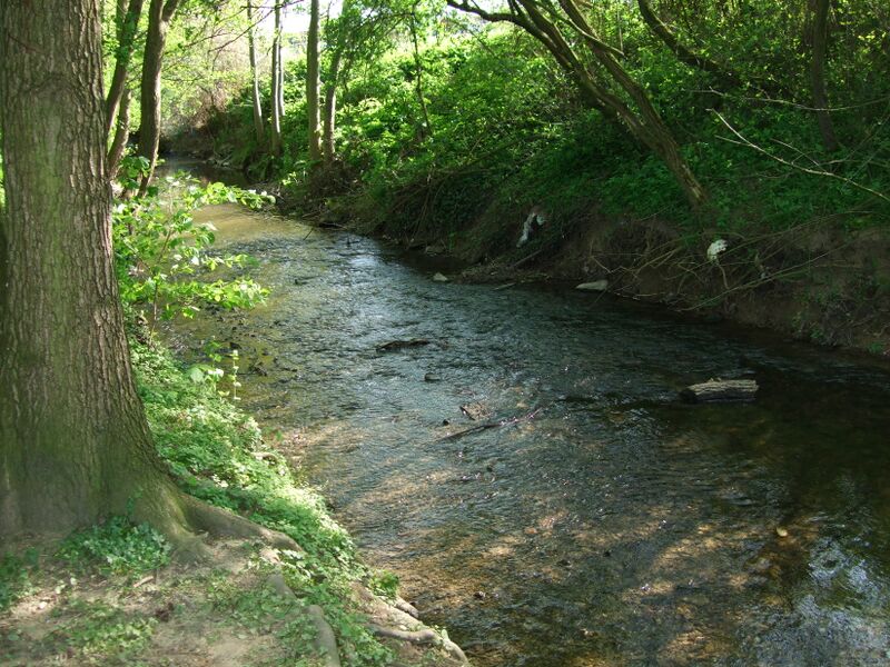 ملف:2008 0504Schwalbach.JPG