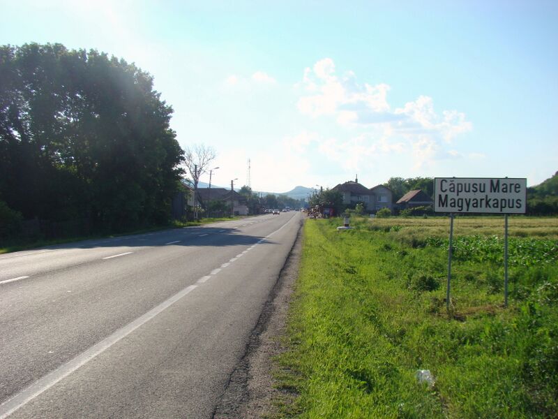 ملف:CapusuMareCJ (3).JPG