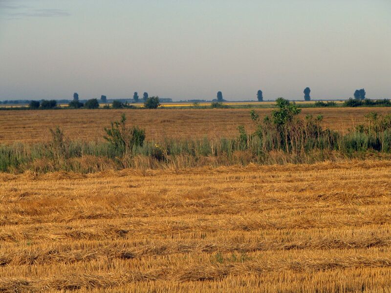 ملف:Județul Călărași, România.jpg