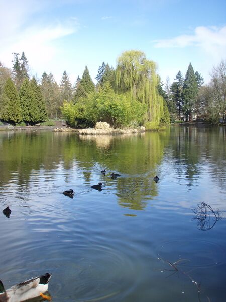 ملف:Laurelhurst Park.jpg
