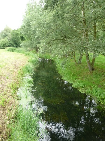 ملف:Le Dien à Pont-le-Dien.JPG