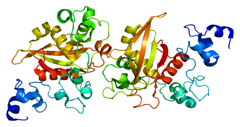 ملف:Protein NOTCH2 PDB 2oo4.png