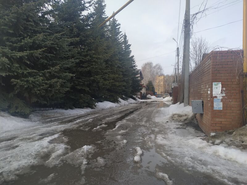 ملف:Timiryazeva street 20210322 164257.jpg