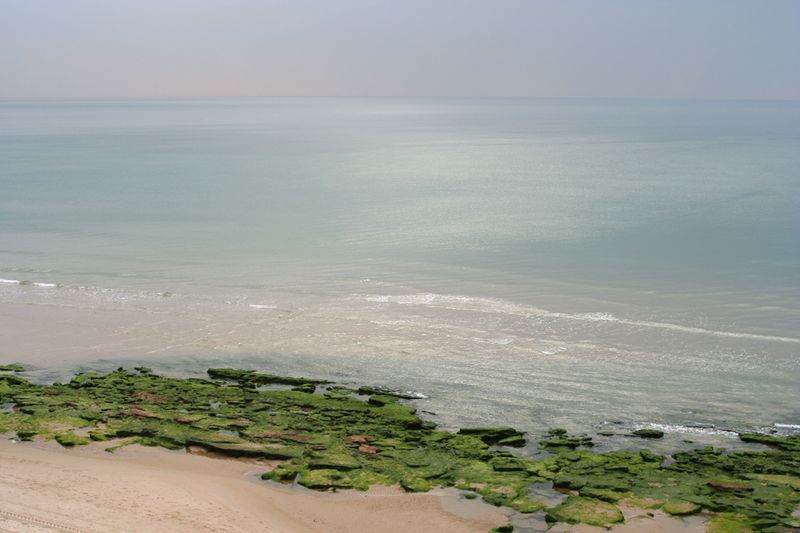 ملف:Wingate 124.jpg