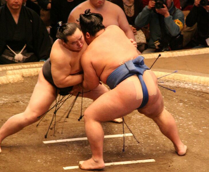 ملف:Asashoryu fight Jan08.JPG