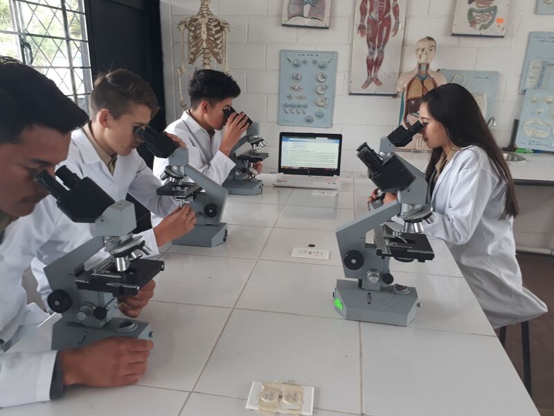ملف:LABORATORIO FLEPP.jpg