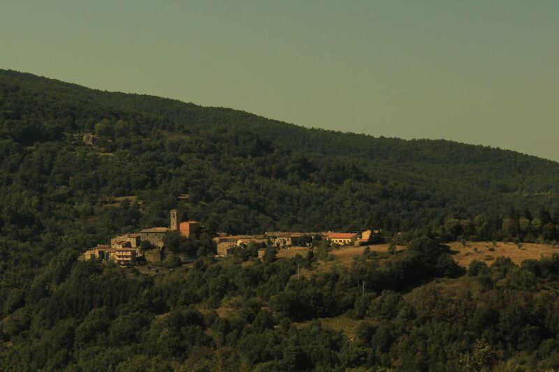 ملف:Panorama di Travale.jpg