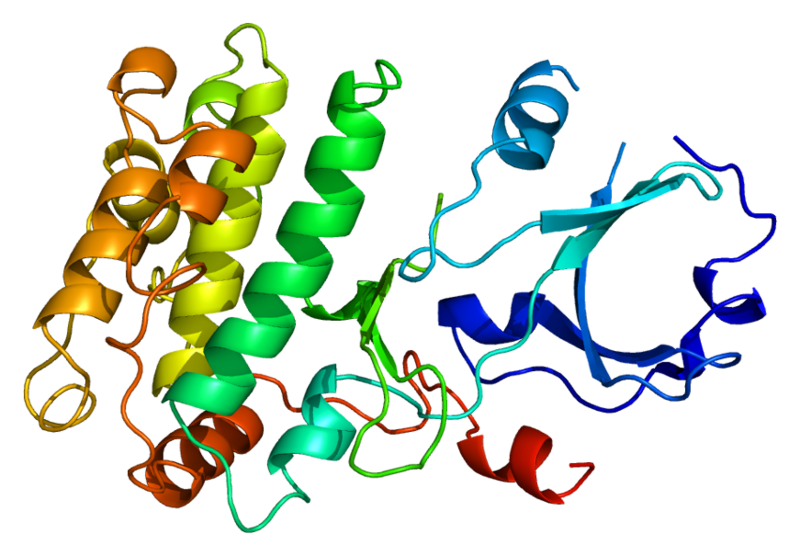 ملف:Protein CAMK1 PDB 1a06.png