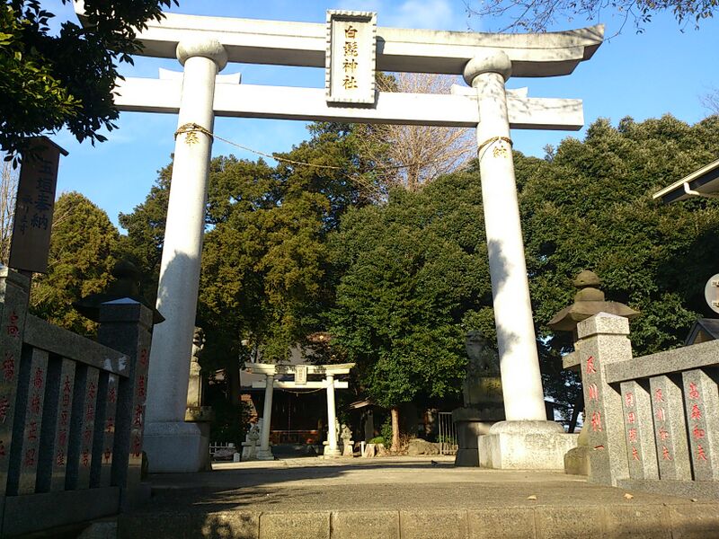ملف:ShirahigeShrineMatsudo.jpg