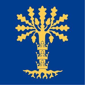 Blekinge län vapenflagga.svg