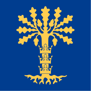 ملف:Blekinge län vapenflagga.svg