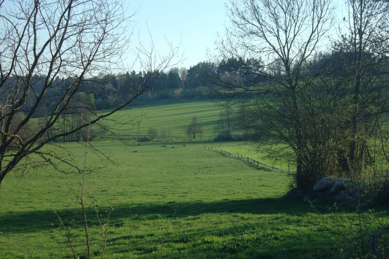 ملف:Hrachov, pastviny.jpg