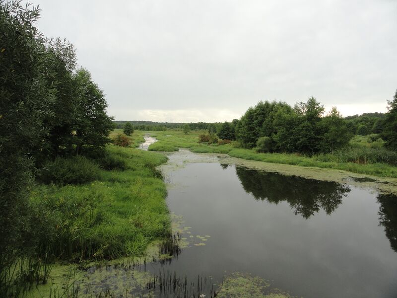 ملف:Oslivka 4.jpg