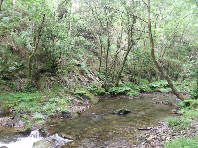 ملف:Río Suarón 2.JPG