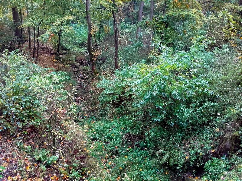 ملف:Rottmünde-Tal 1.jpg