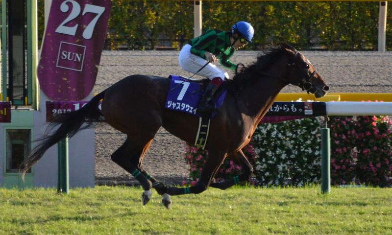 ملف:Just-A-Way Tenno-Sho(Autumn) 2013(IMG1).jpg