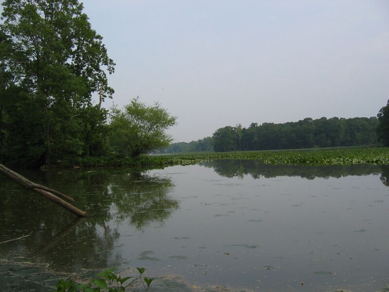 ملف:LHC looking south.JPG