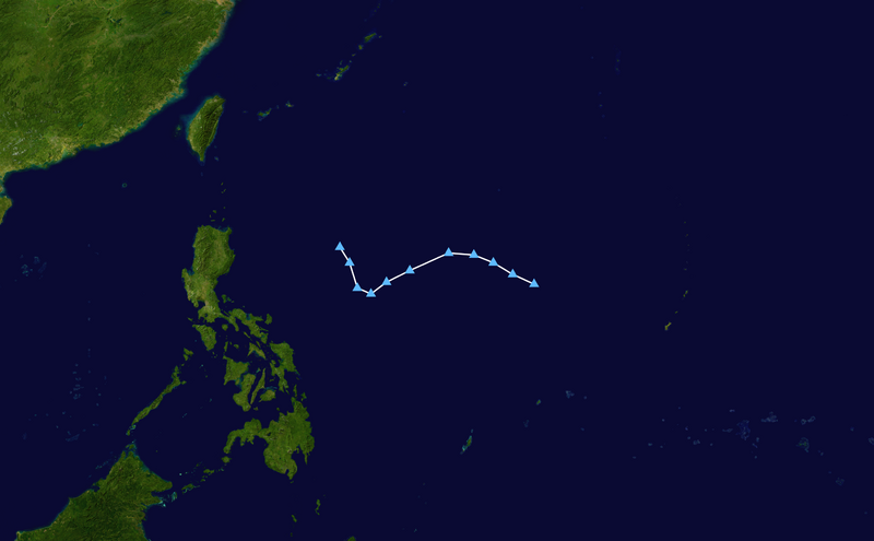 ملف:Nando 2021 track.png