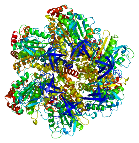 ملف:Protein ATP5A1 PDB 1bmf.png