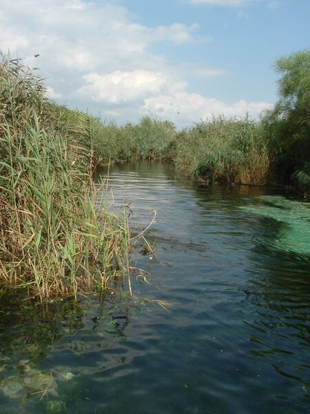 ملف:Fiume Chidro.jpg