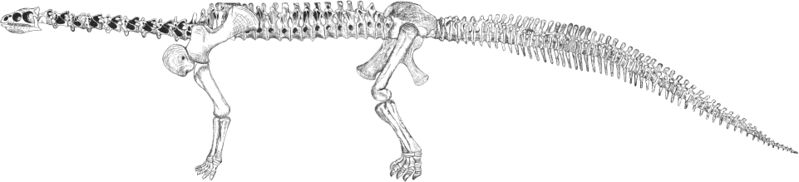 ملف:OsbornMook1921-plate-LXXXII-ryder-camarasaurus.jpg