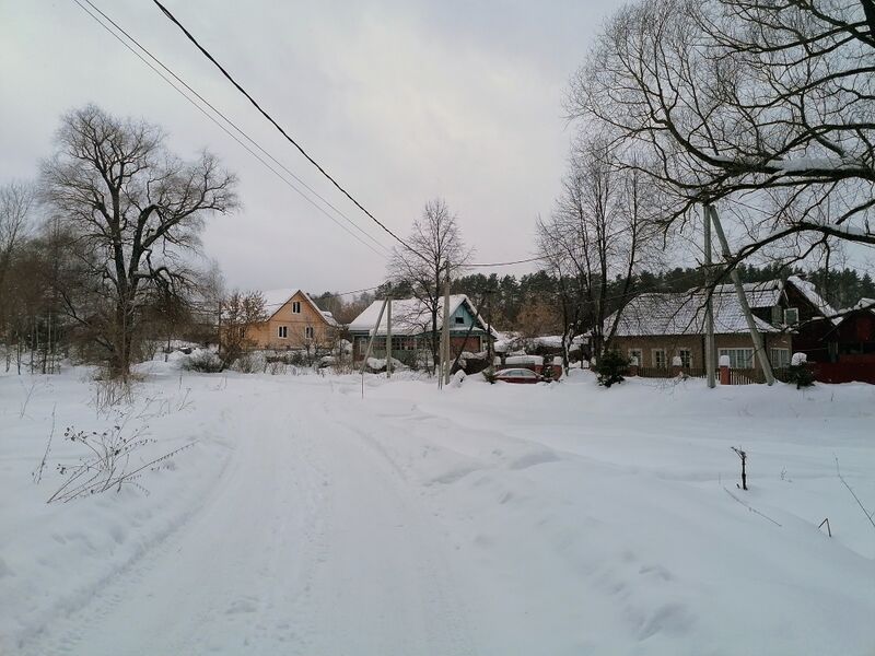 ملف:Деревня Пронино.jpg