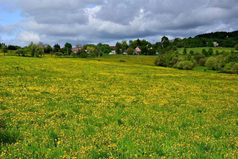 ملف:Blatno 2014-05-11.jpg