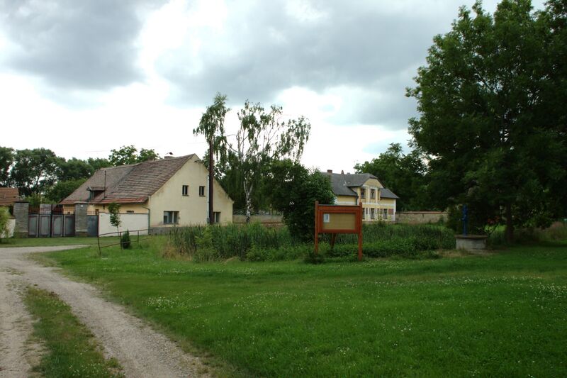 ملف:Dolní Kamenice, louka.jpg