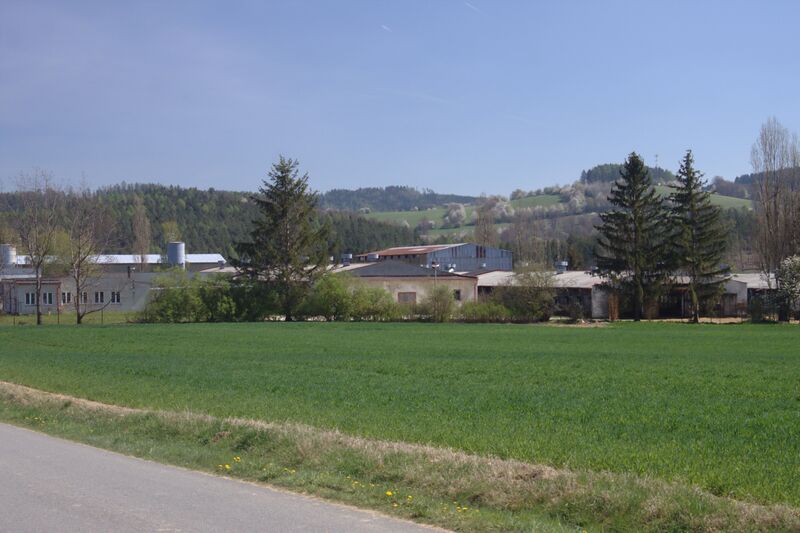 ملف:Dubina, pole.jpg