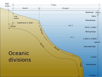 Drawing showing divisions according to depth and distance from shore