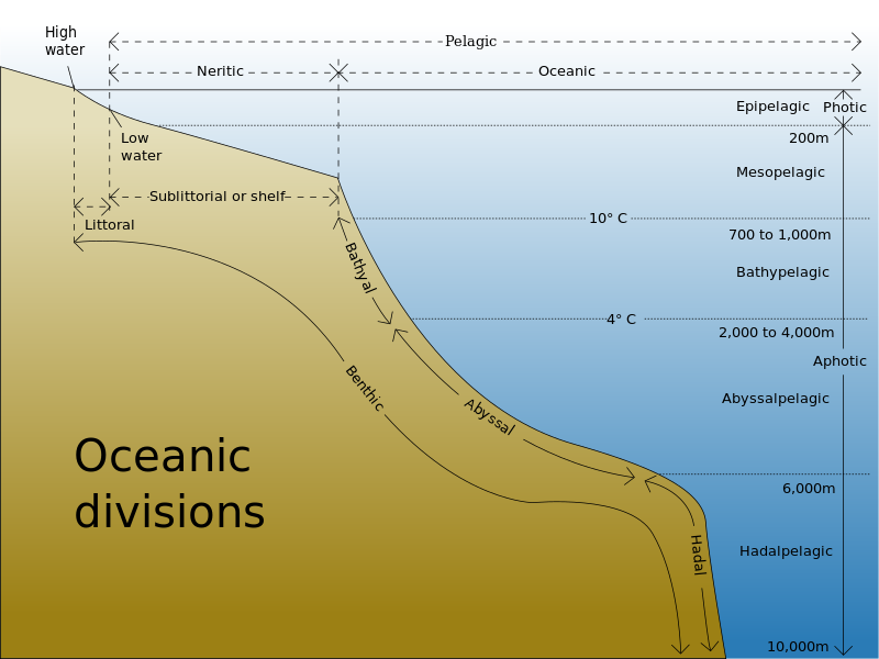 ملف:Oceanic divisions.svg