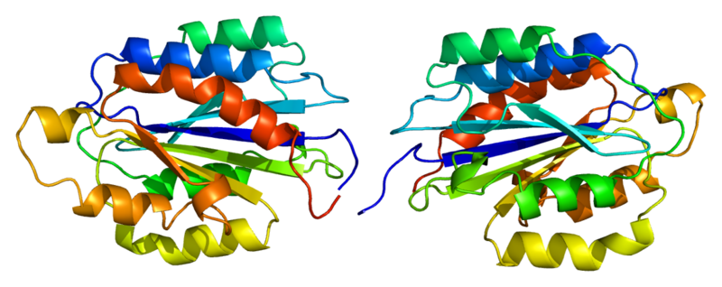 ملف:Protein ITGA2 PDB 1aox.png