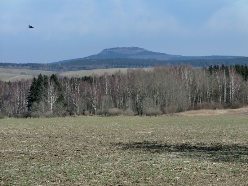 ملف:Scheibenberg, blick von S268.JPG