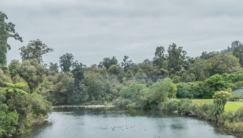 ملف:Whakapohai River 02.jpg