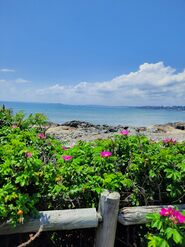 Atlantic Ocean from Neck
