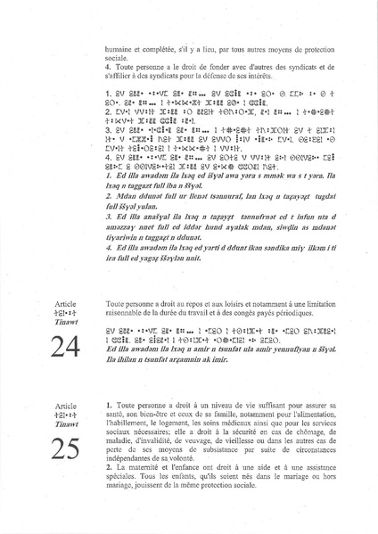 ملف:French-Tamasheq UDHR.pdf