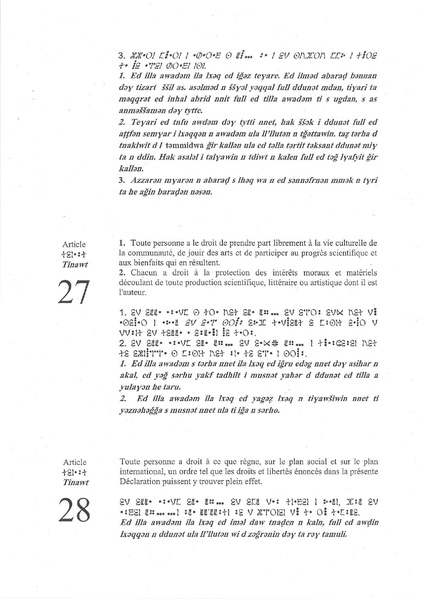 ملف:French-Tamasheq UDHR.pdf