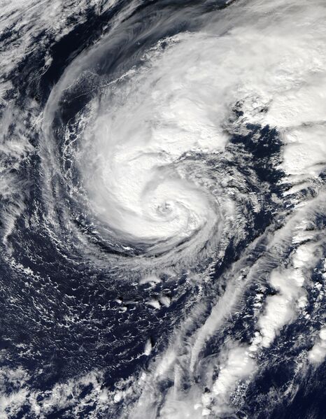 ملف:Martin 2022-11-02 1640Z.jpg