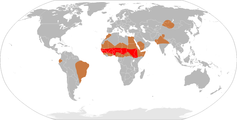 ملف:Meningitis-Epidemics-World-Map.png