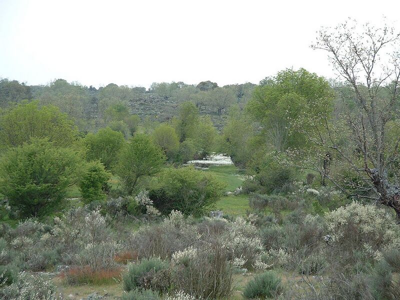 ملف:Moronta campo.jpg