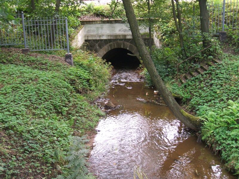 ملف:Зеленогорск ручей Жемчужный ж.д.мост.JPG