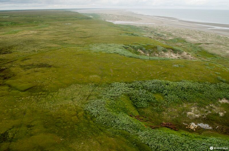 ملف:Канинская тундра.jpg