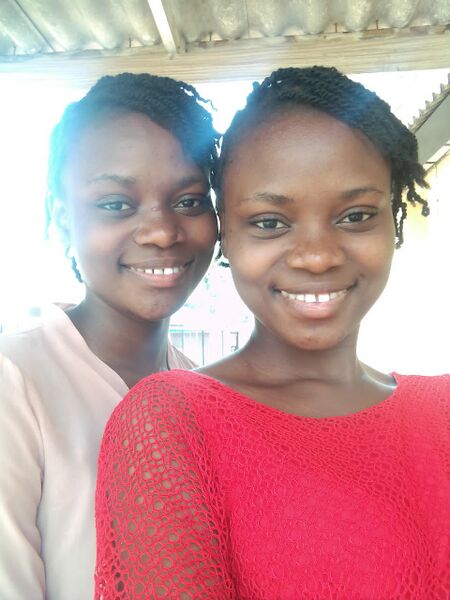 ملف:An African Twins.jpg